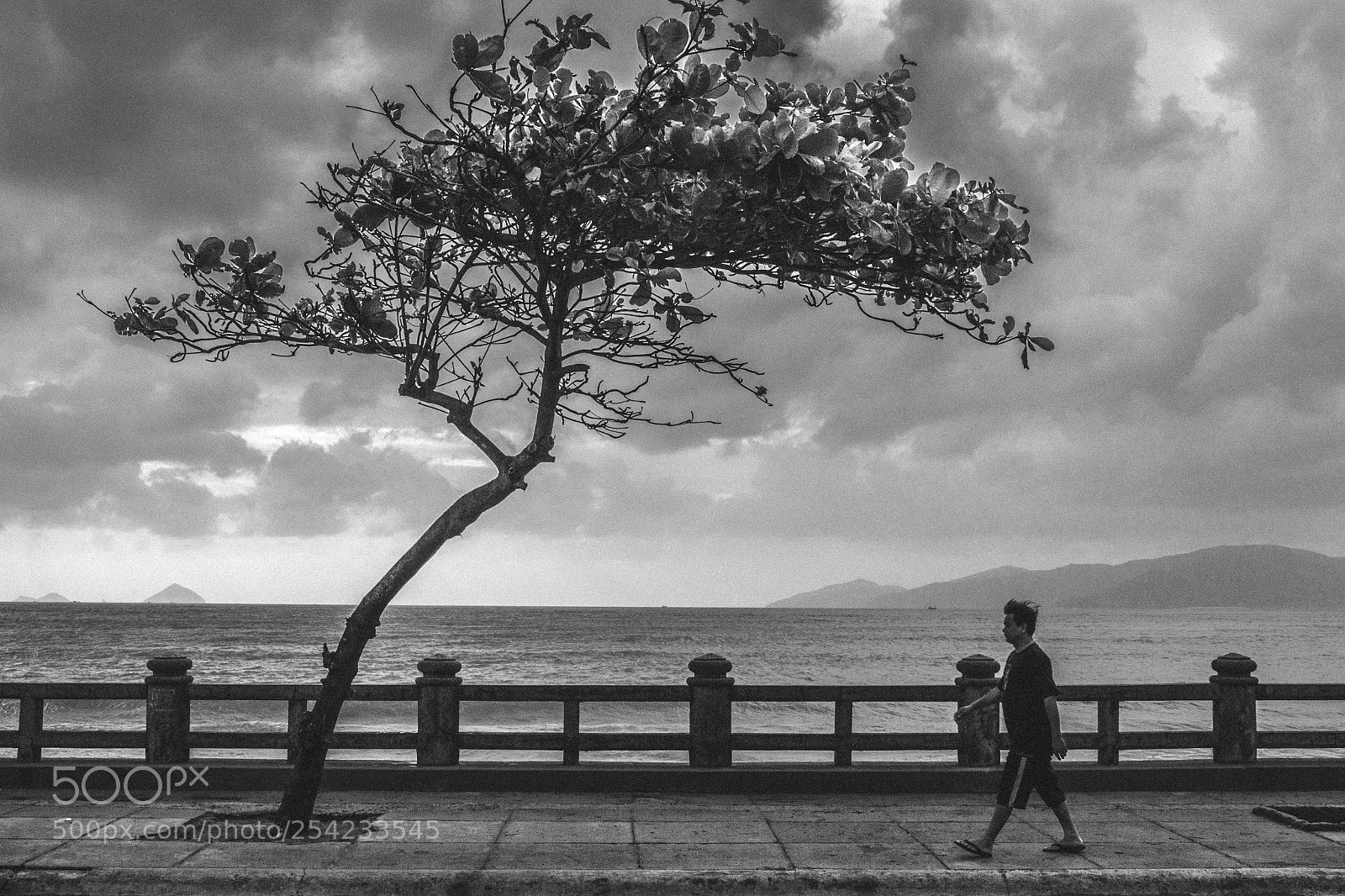 Canon EOS 60D sample photo. Walking man photography