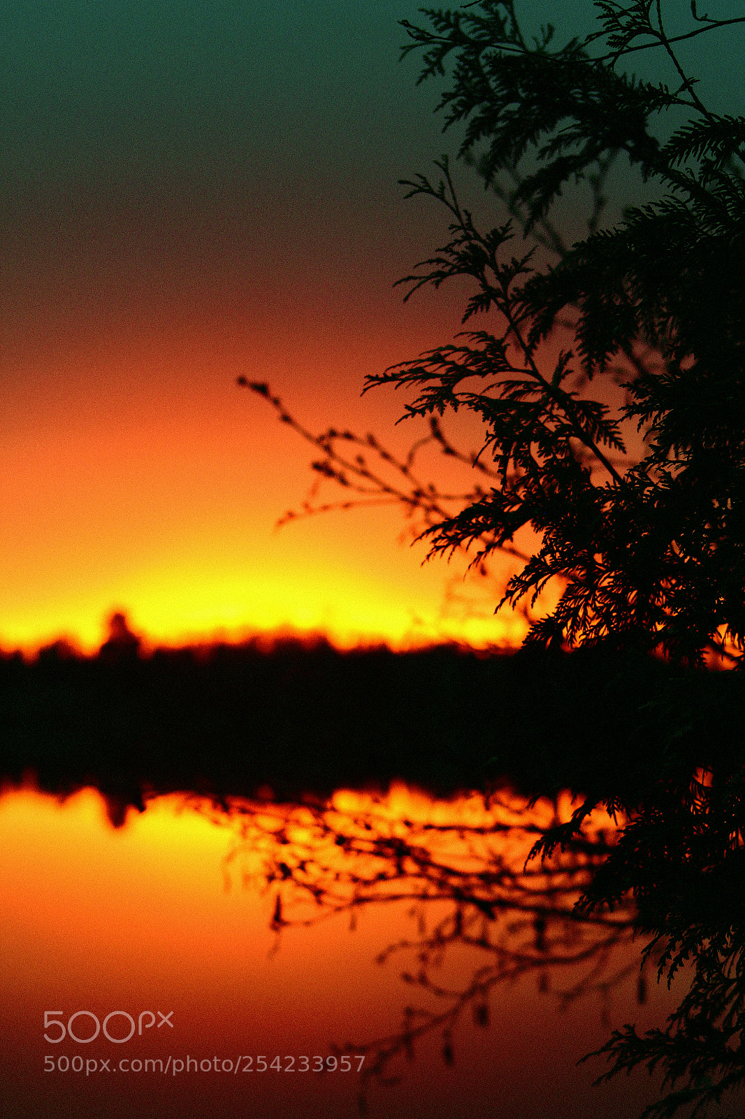 Canon EOS 1200D (EOS Rebel T5 / EOS Kiss X70 / EOS Hi) sample photo. Beautiful sunset photography