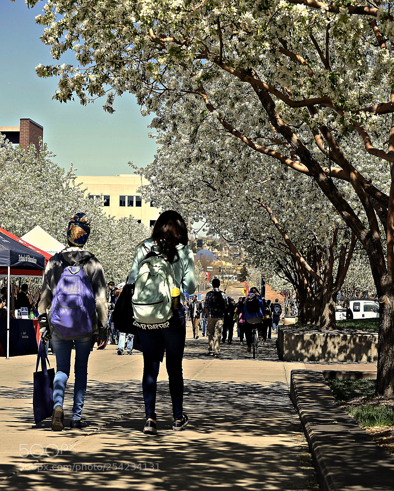 Nikon D7000 sample photo. Spring photography