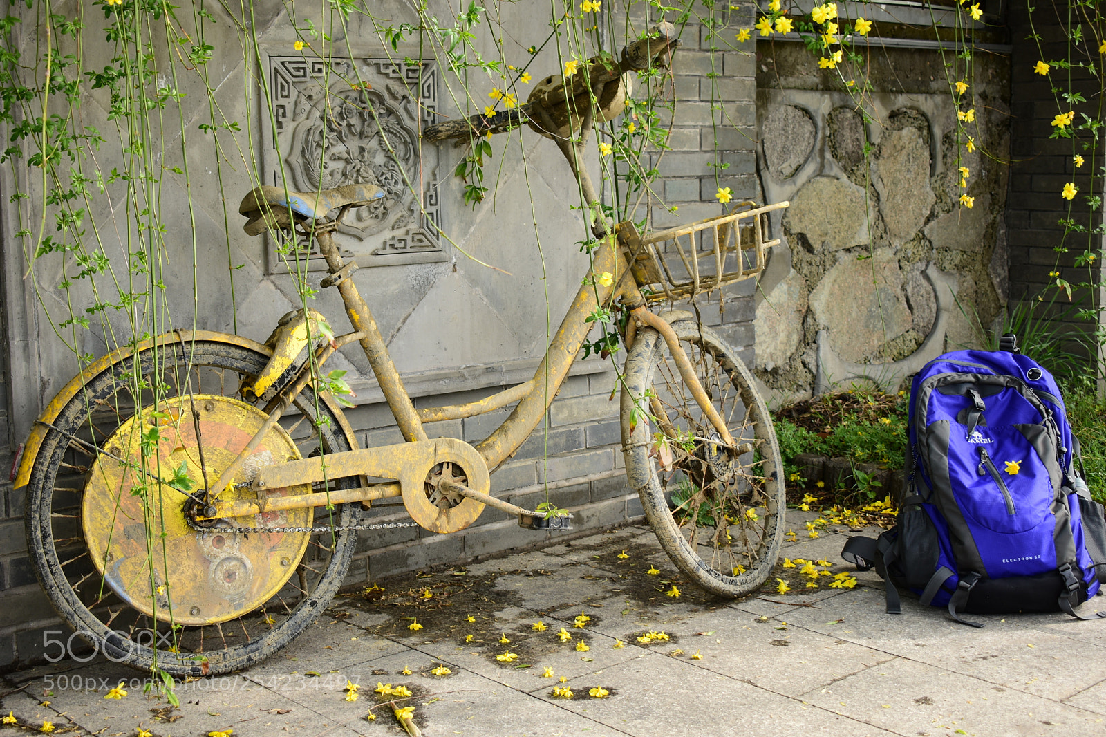 Nikon D3400 sample photo. 小黄车 photography
