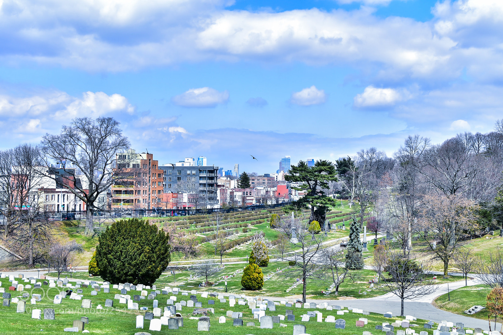 Nikon D5500 sample photo. Greenwood photography