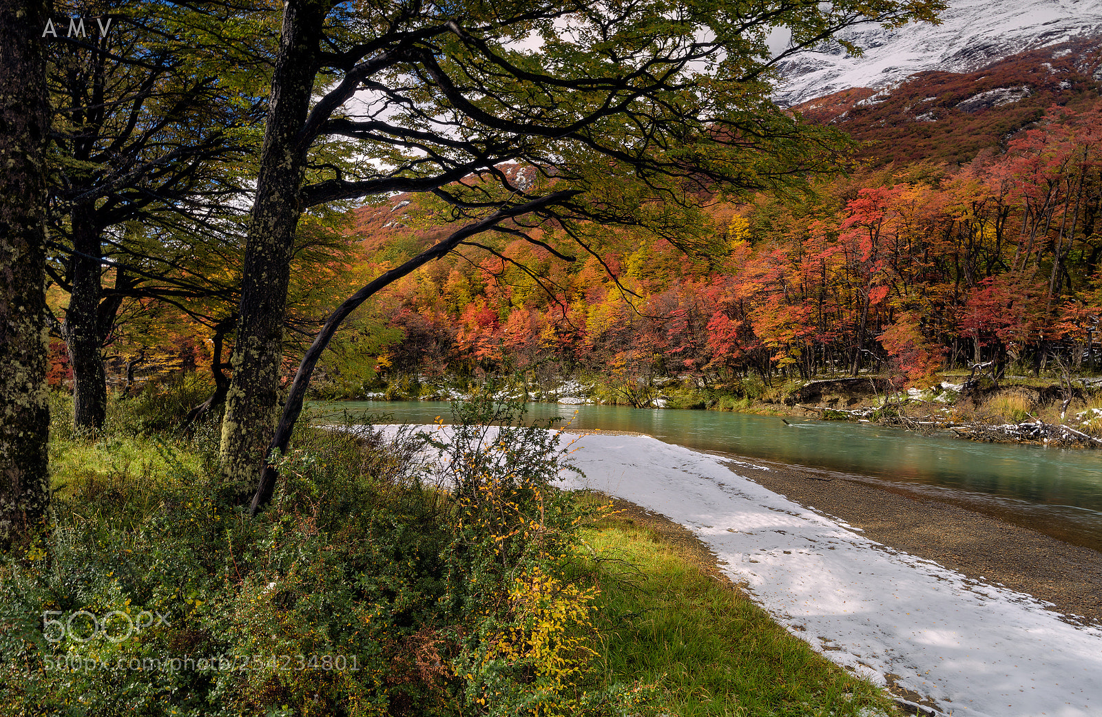 Nikon D810 sample photo. Autumn 2018 photography