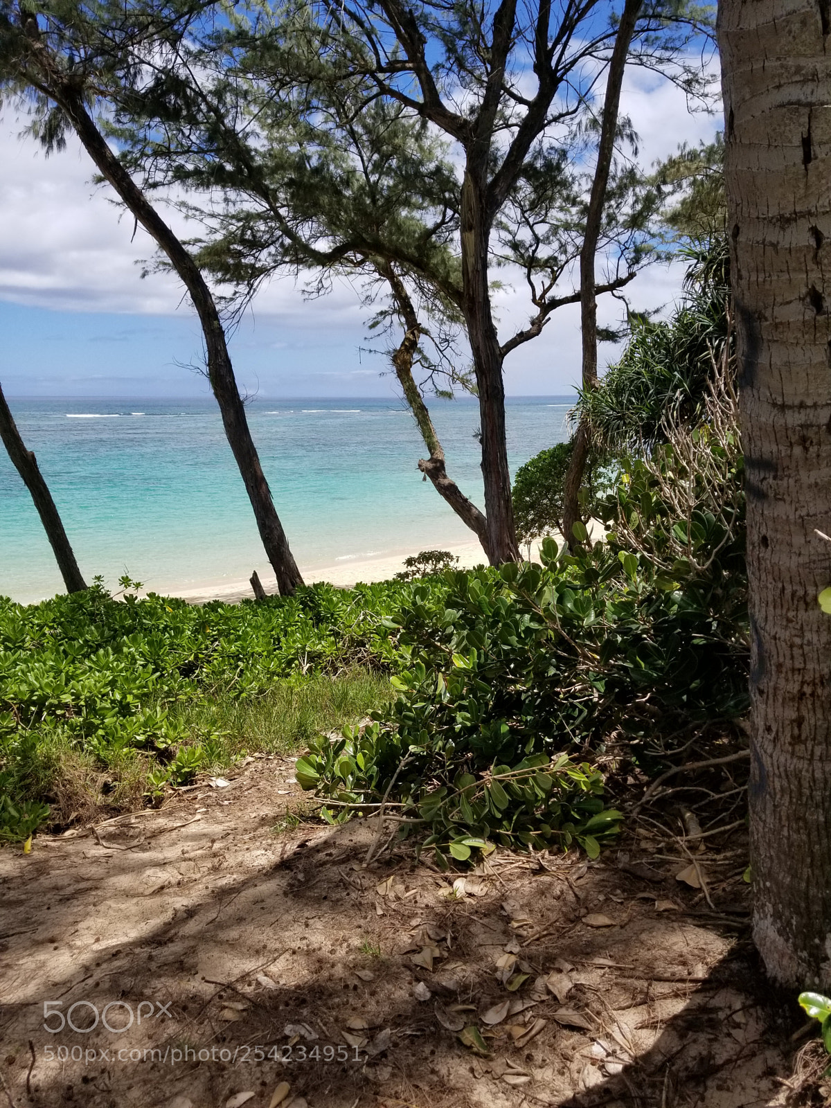Samsung Galaxy S8 sample photo. 20180405_123544.jpg photography