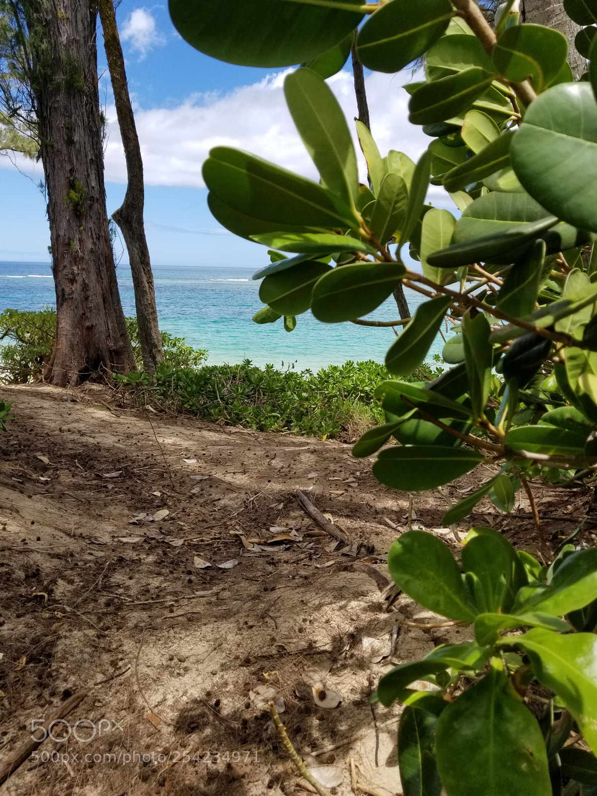 Samsung Galaxy S8 sample photo. 20180405_123505.jpg photography