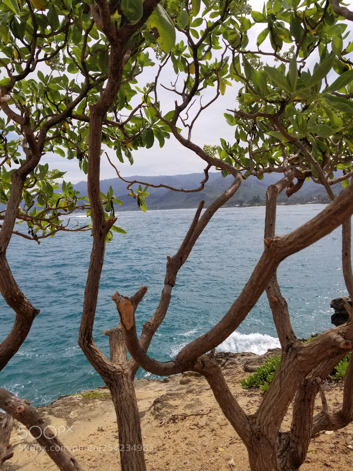 Samsung Galaxy S8 sample photo. 20180331_142845.jpg photography
