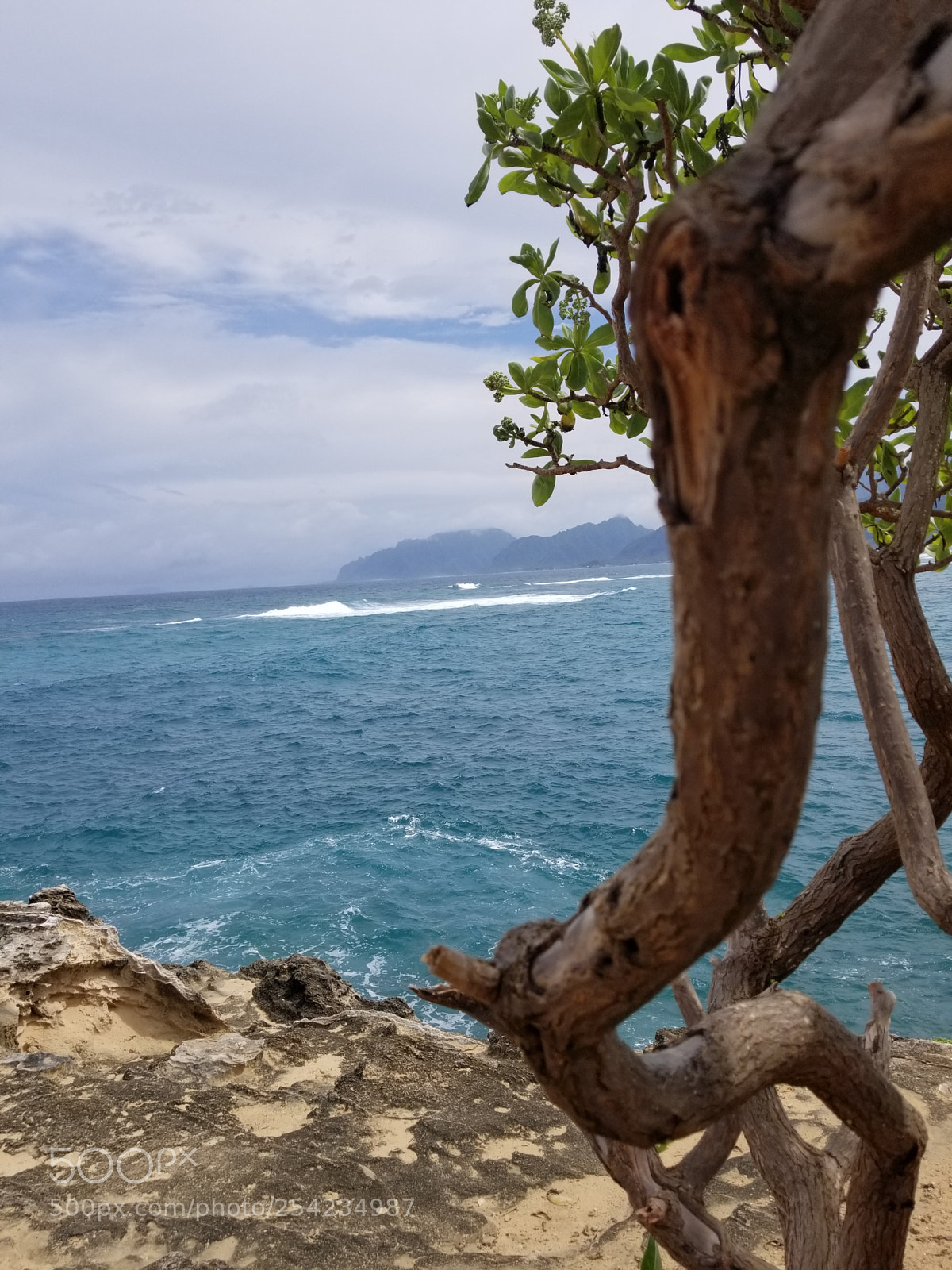 Samsung Galaxy S8 sample photo. 20180331_142842.jpg photography