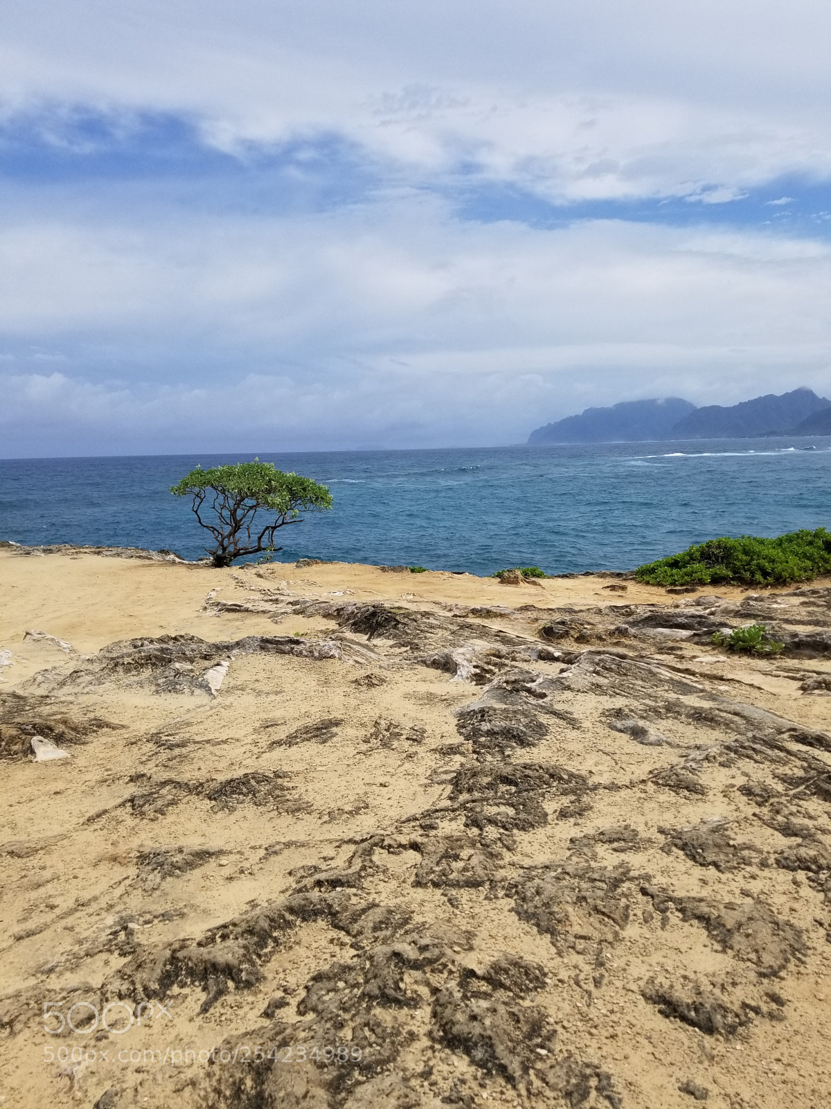 Samsung Galaxy S8 sample photo. 20180331_142801.jpg photography