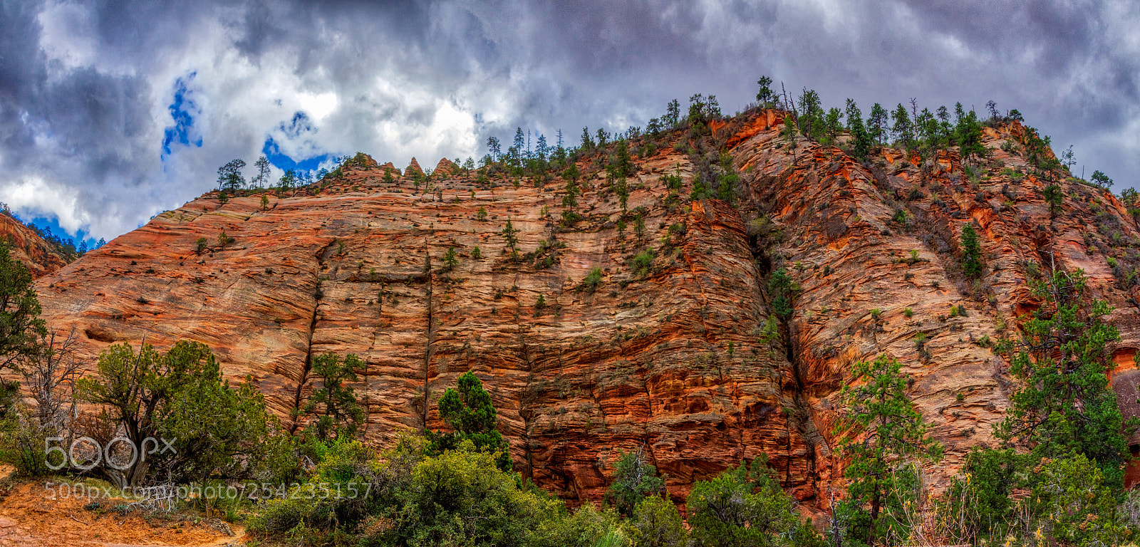 Pentax K-3 II sample photo. Zion national park photography