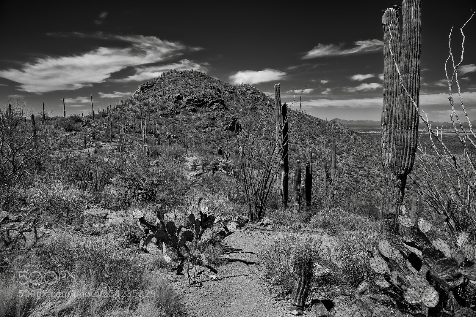 Nikon D800E sample photo. A hike along valley photography