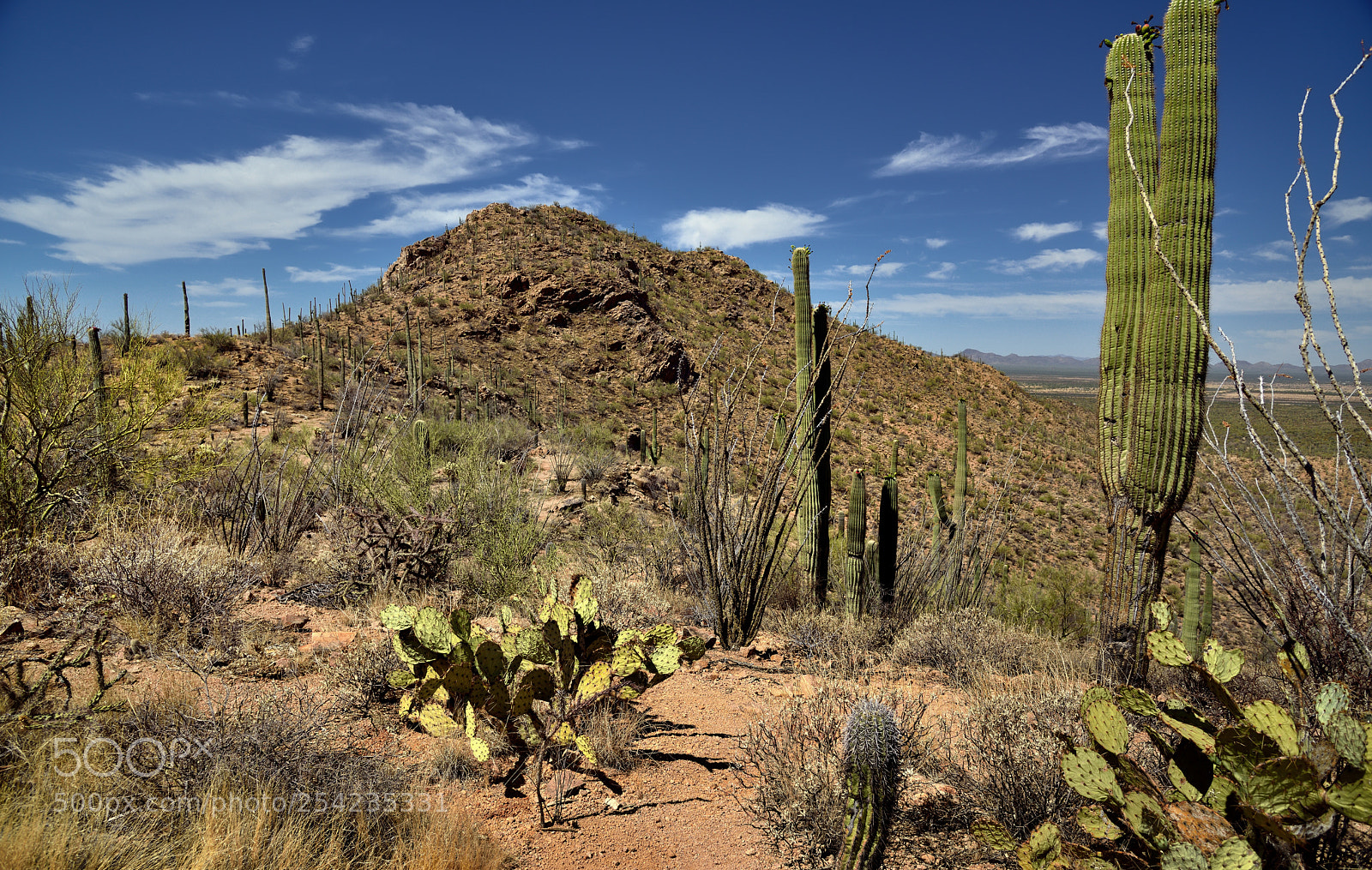 Nikon D800E sample photo. A hike along valley photography