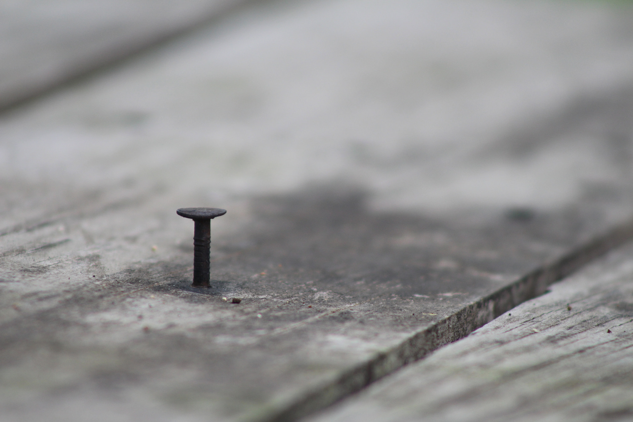 Canon EOS 700D (EOS Rebel T5i / EOS Kiss X7i) + Canon EF 75-300mm f/4-5.6 sample photo. Nail in a board photography