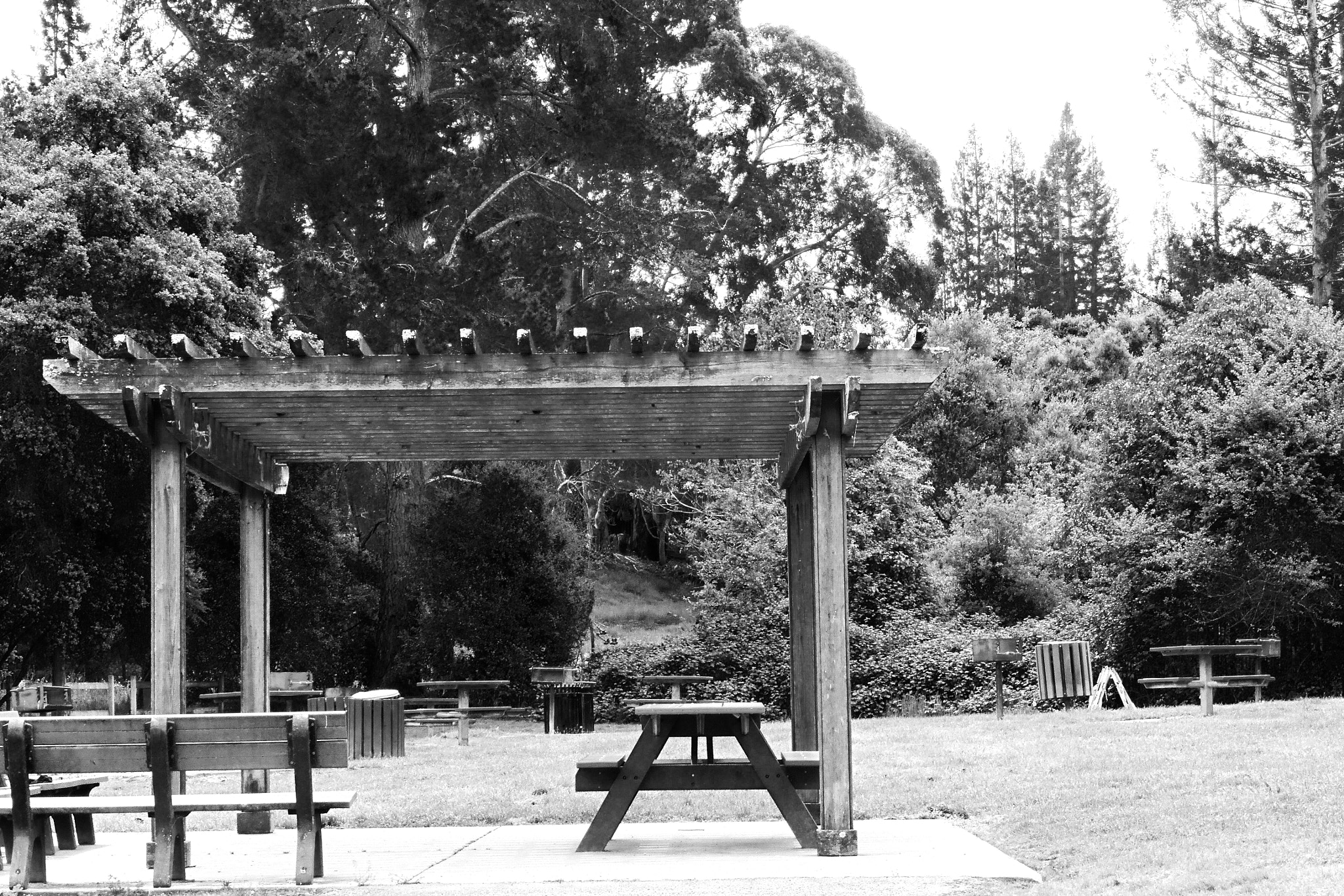 Panasonic DMC-ZS35 sample photo. Sebastopol park photography