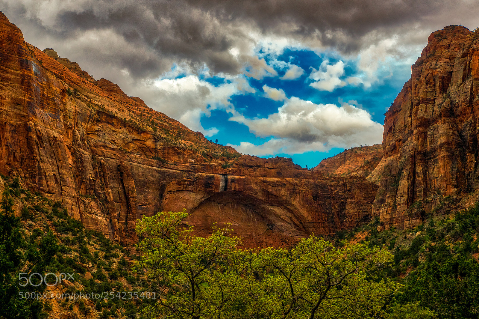 Pentax K-3 II sample photo. Zion national park photography