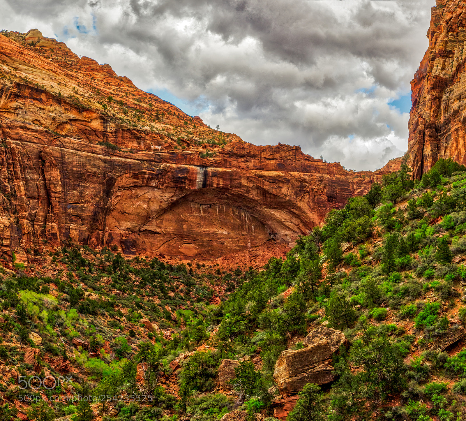 Pentax K-3 II sample photo. Zion national park photography