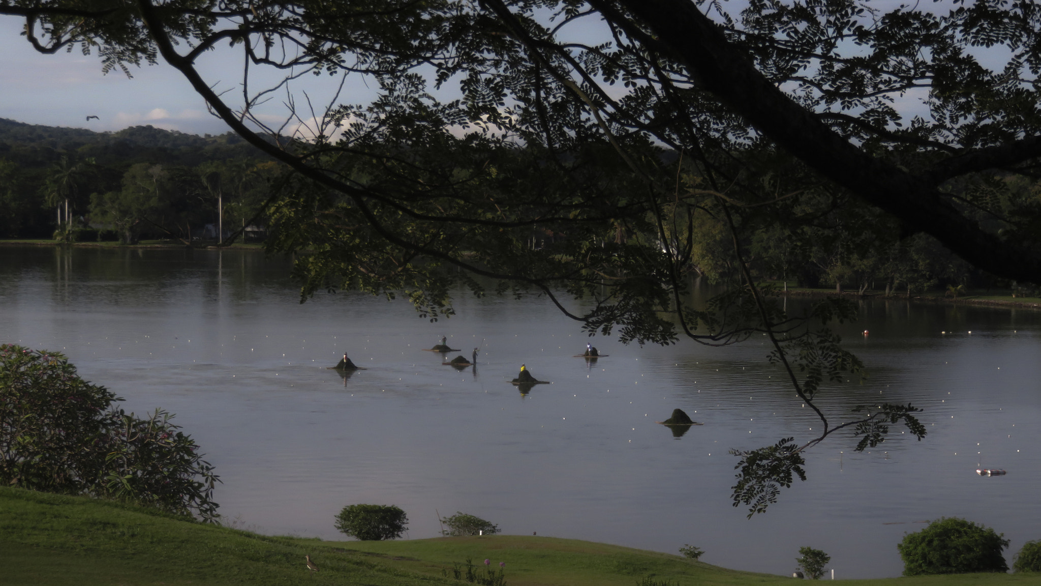Canon PowerShot SX700 HS sample photo. Removiendo algas photography