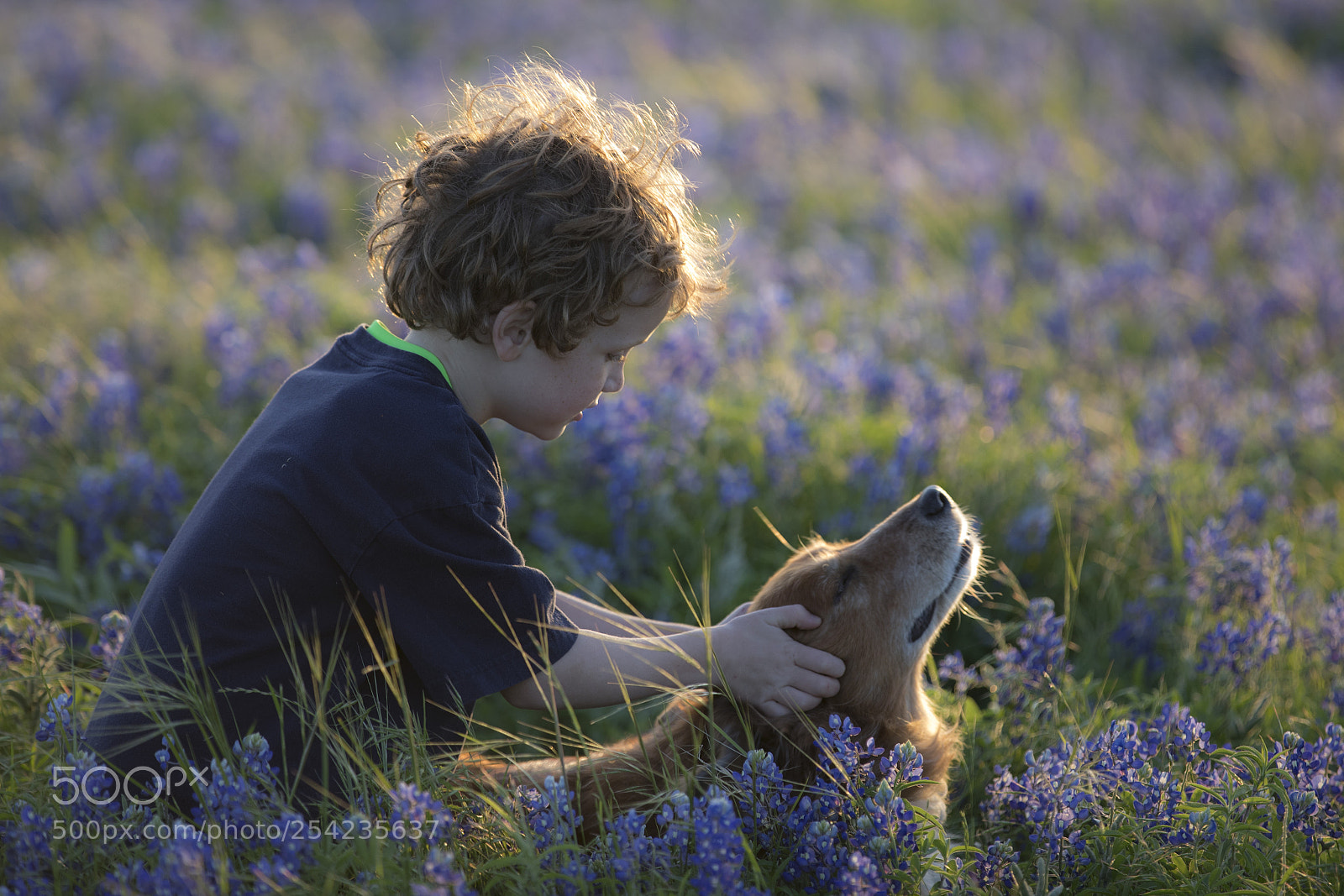 Canon EOS 5D Mark IV sample photo. Spring time photography