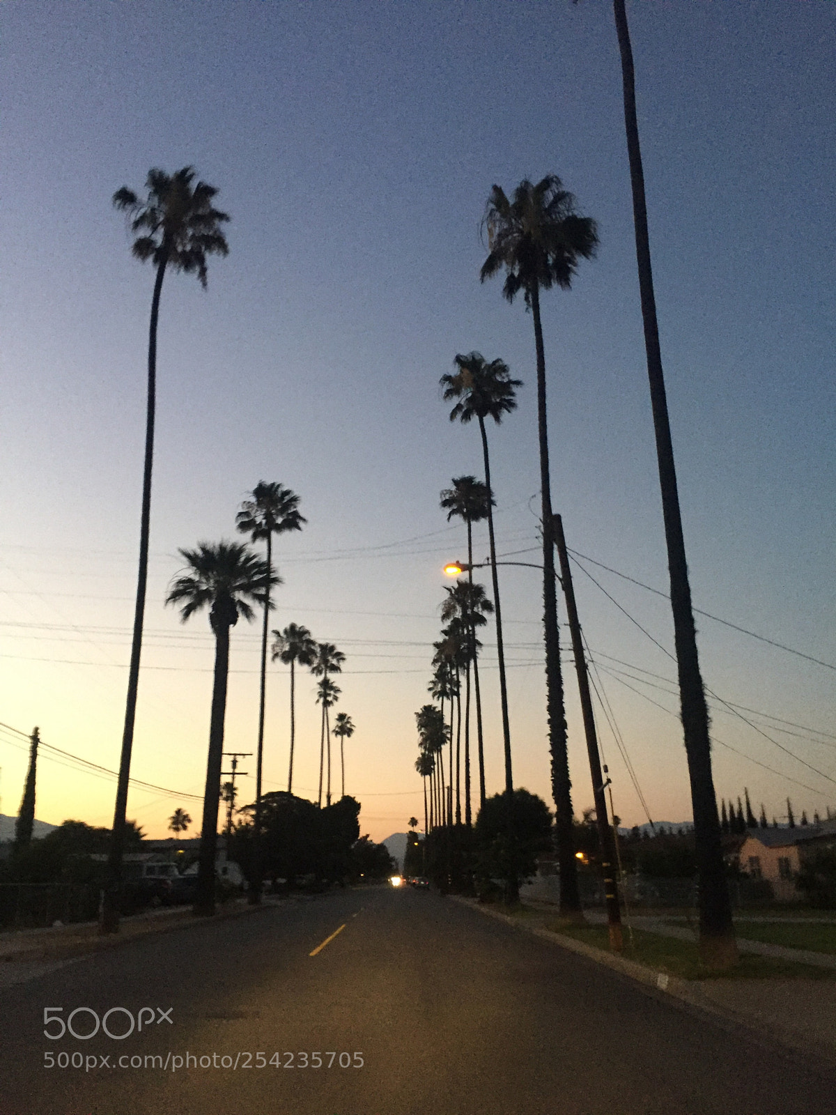 Apple iPhone 6 sample photo. Img photography