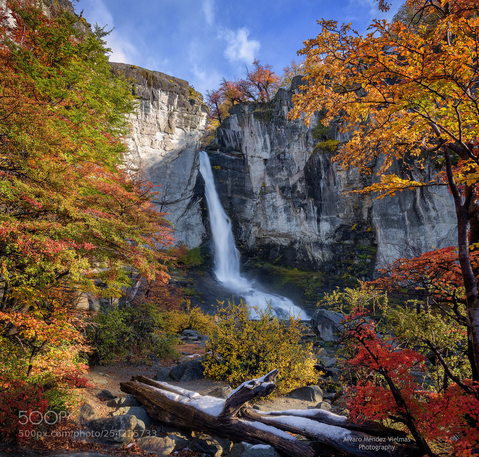 Nikon D810 sample photo. Intense colors of fall photography