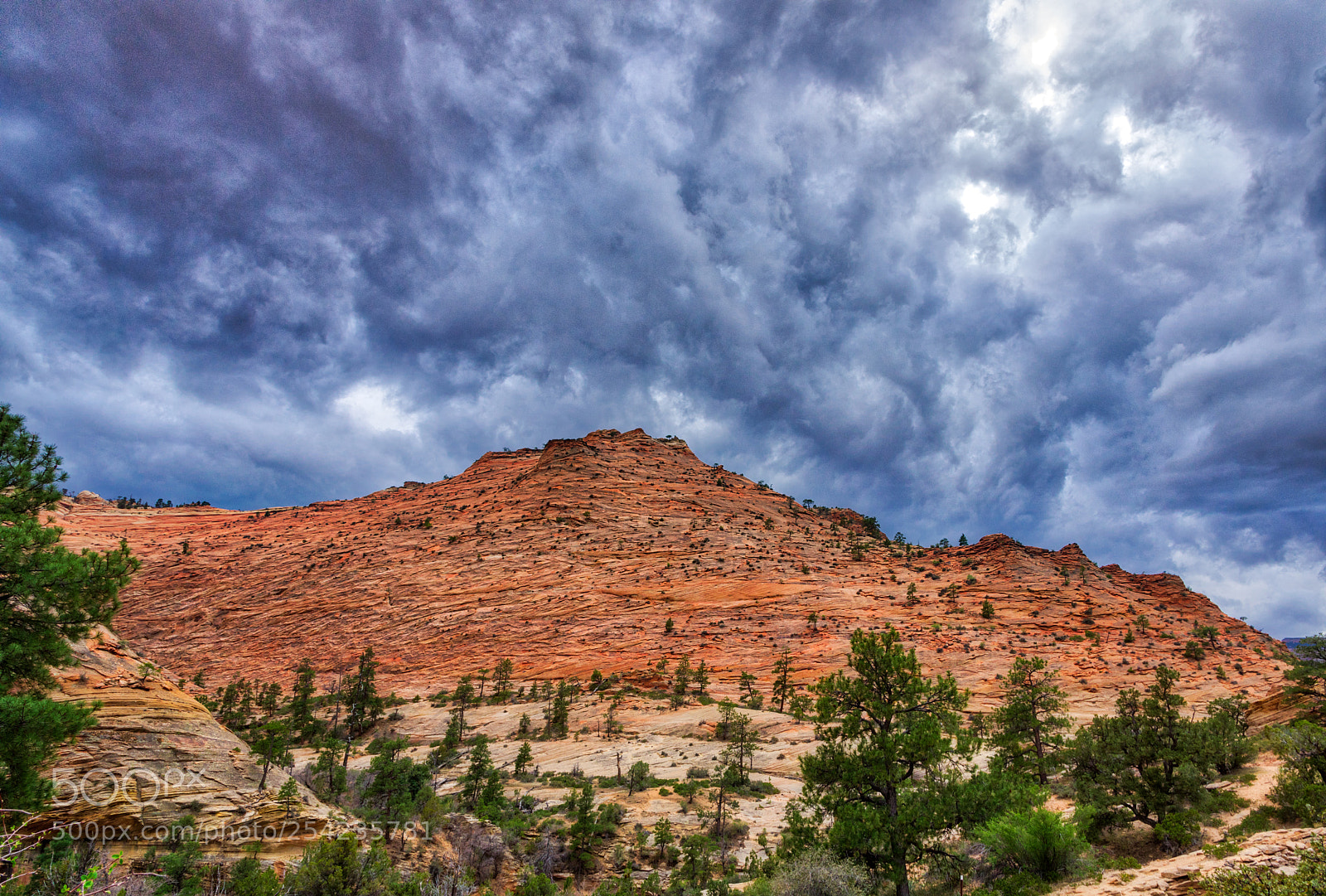 Pentax K-3 II sample photo. Zion national park photography