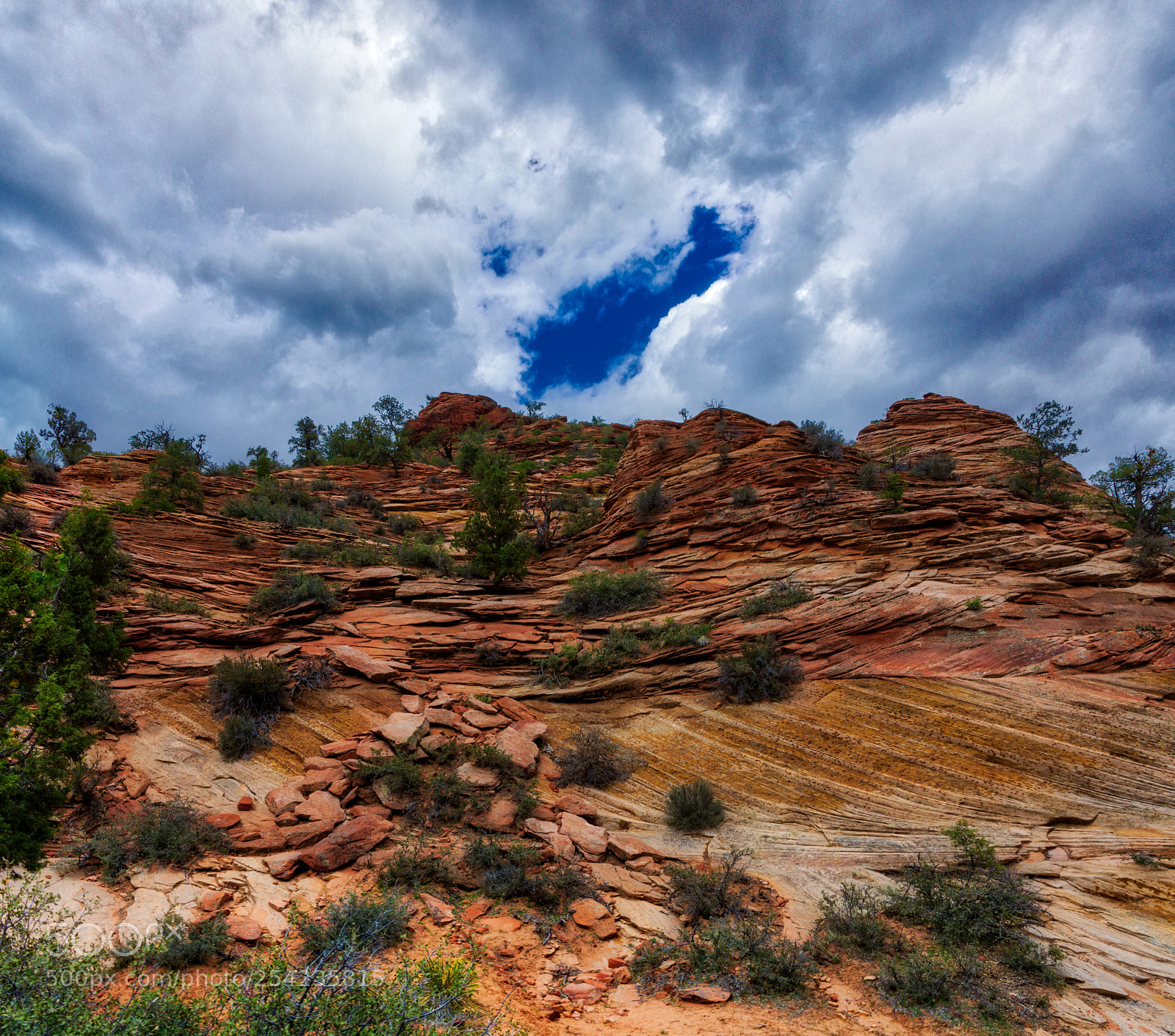 Pentax K-3 II sample photo. Zion national park photography