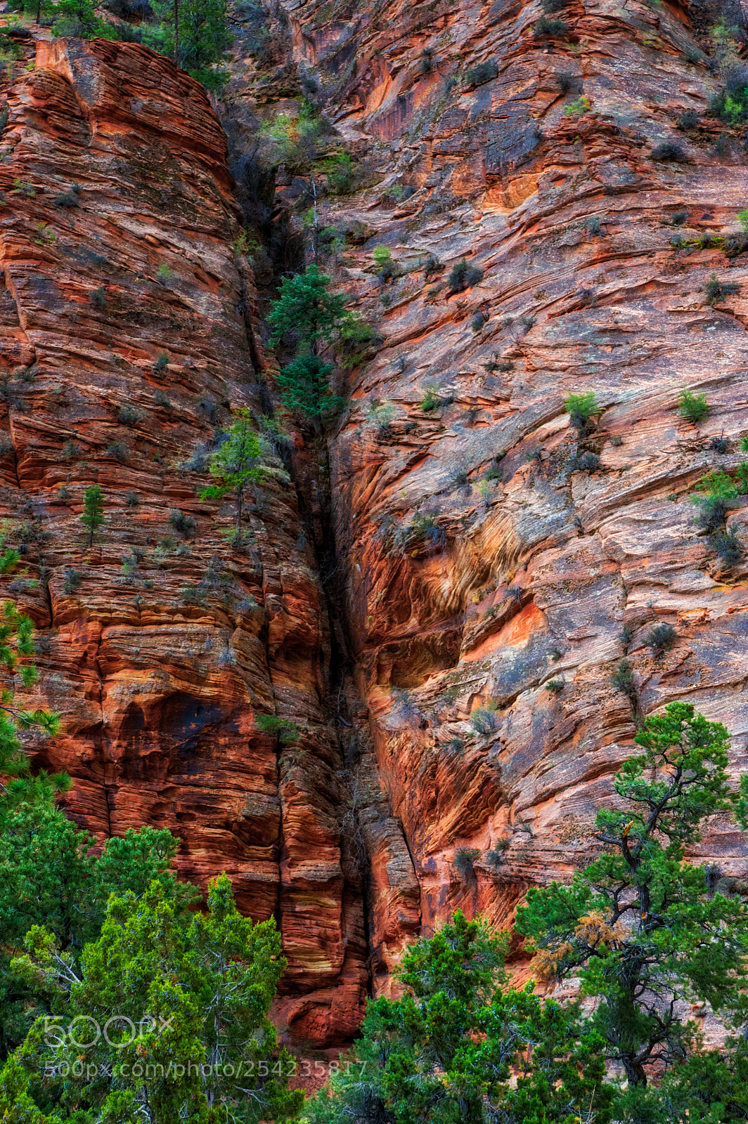 Pentax K-3 II sample photo. Zion national park photography