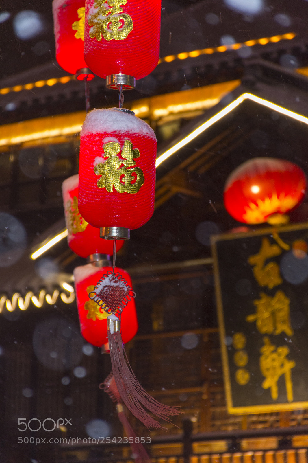 Nikon D7100 sample photo. 去  年 photography