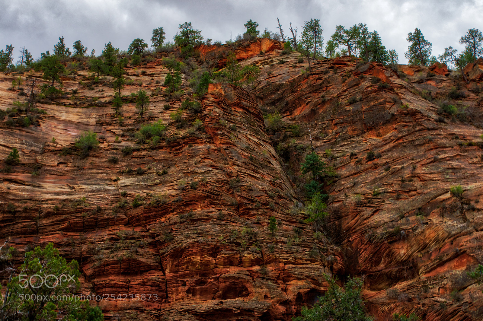 Pentax K-3 II sample photo. Zion national park photography