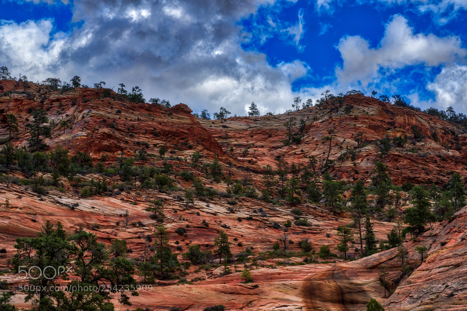 Pentax K-3 II sample photo. Zion national park photography