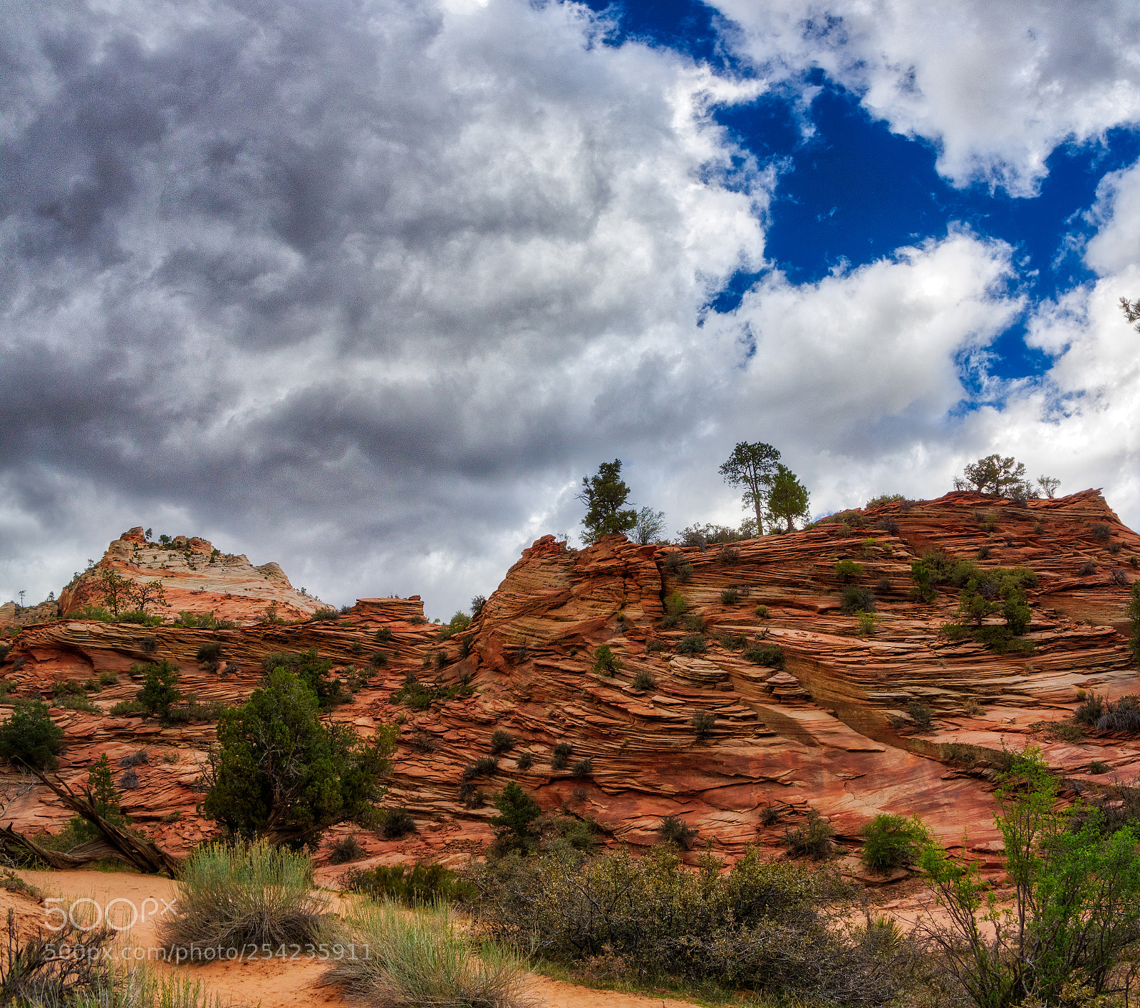 Pentax K-3 II sample photo. Zion national park photography