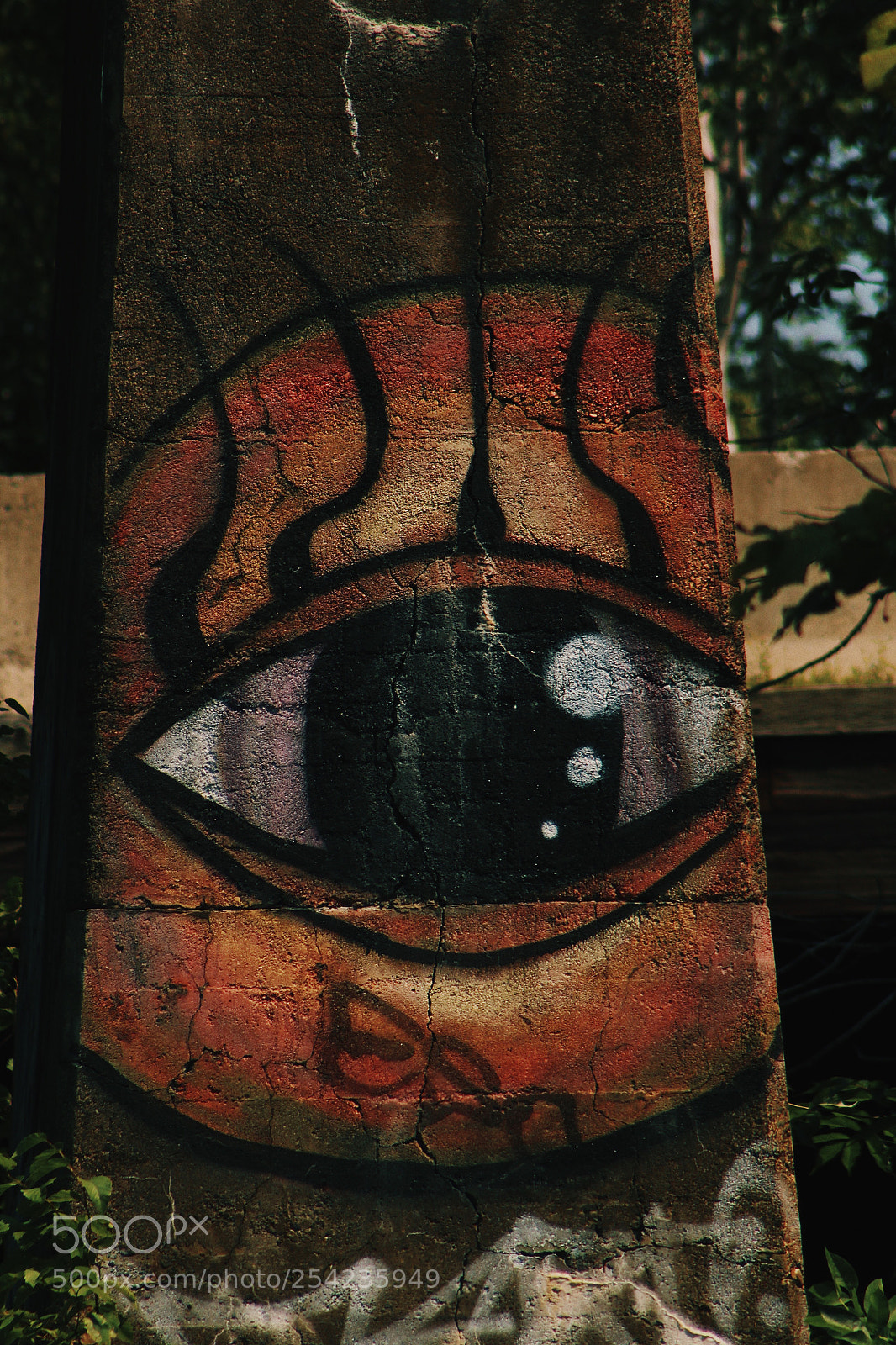Canon EOS 1200D (EOS Rebel T5 / EOS Kiss X70 / EOS Hi) sample photo. Eye of the beholder photography