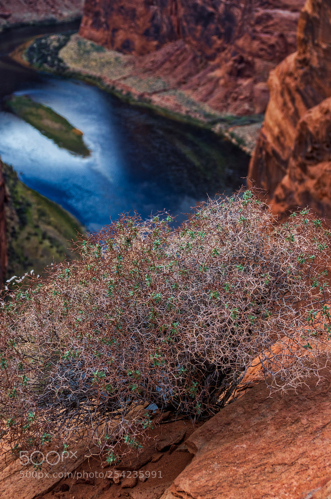 Pentax K-3 II sample photo. Horseshoe bend - grand photography