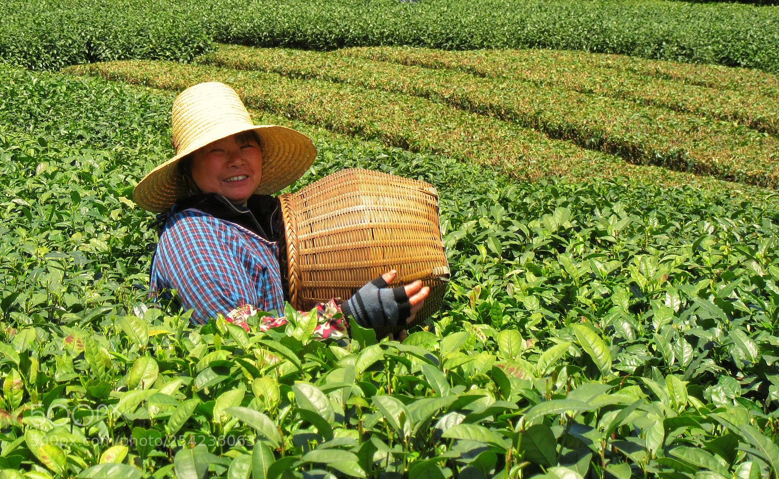 Canon PowerShot SX610 HS sample photo. All smiles.jpg photography