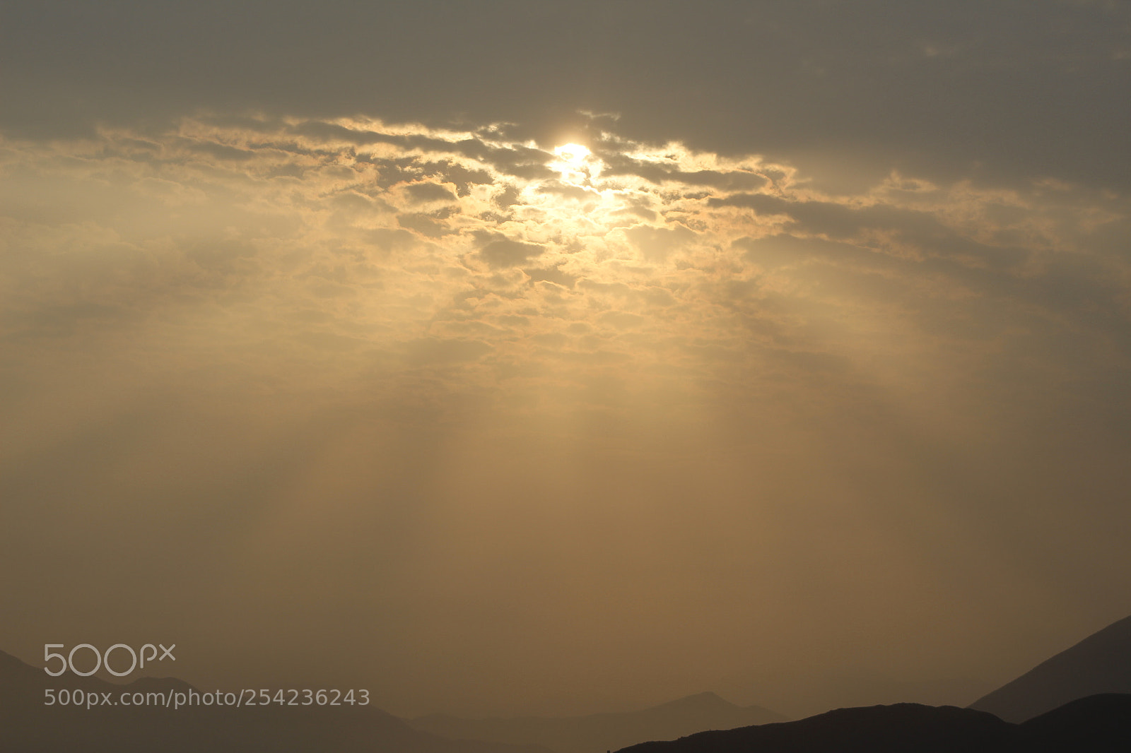 Canon EF 75-300mm f/4-5.6 sample photo. Mg photography