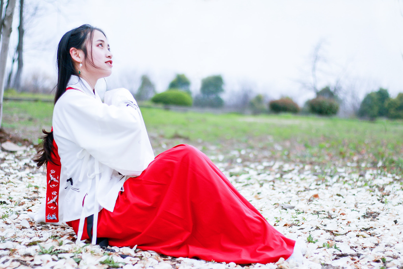 Canon EOS 70D sample photo. Untitled photography