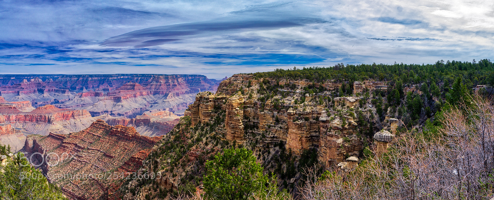 Pentax K-3 II sample photo. Grand canyon photography