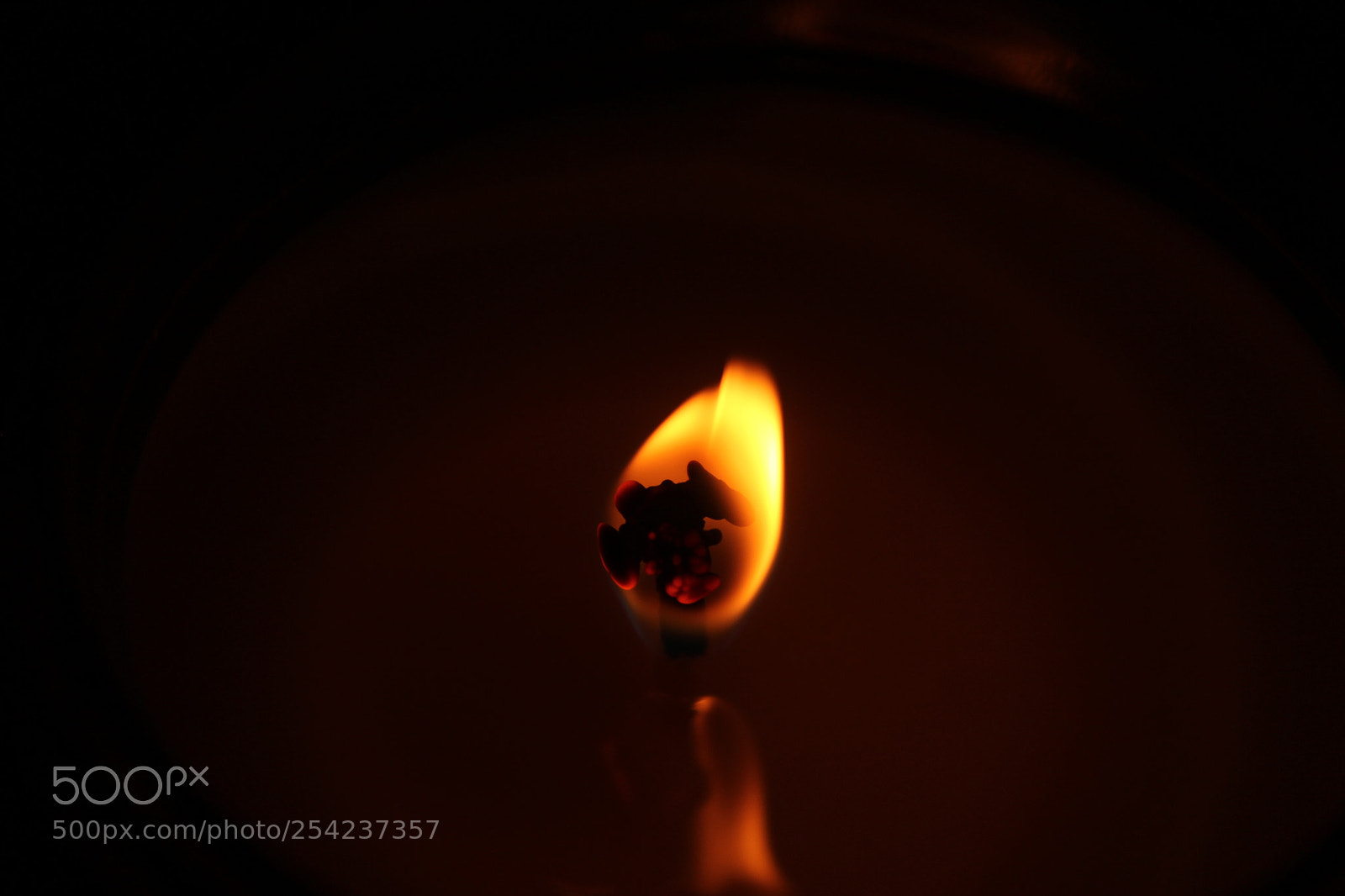 Canon EOS 1200D (EOS Rebel T5 / EOS Kiss X70 / EOS Hi) sample photo. Flame reflection photography