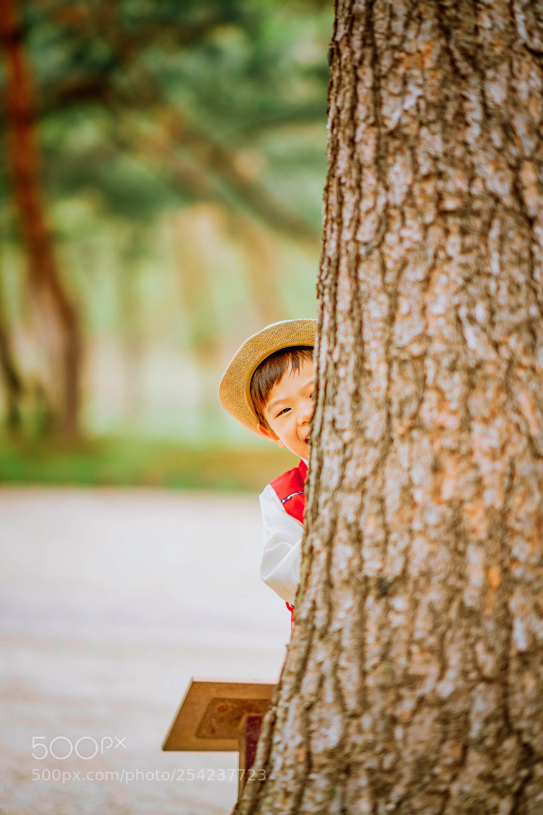 Sony a7R III sample photo. Peek-a-boo photography
