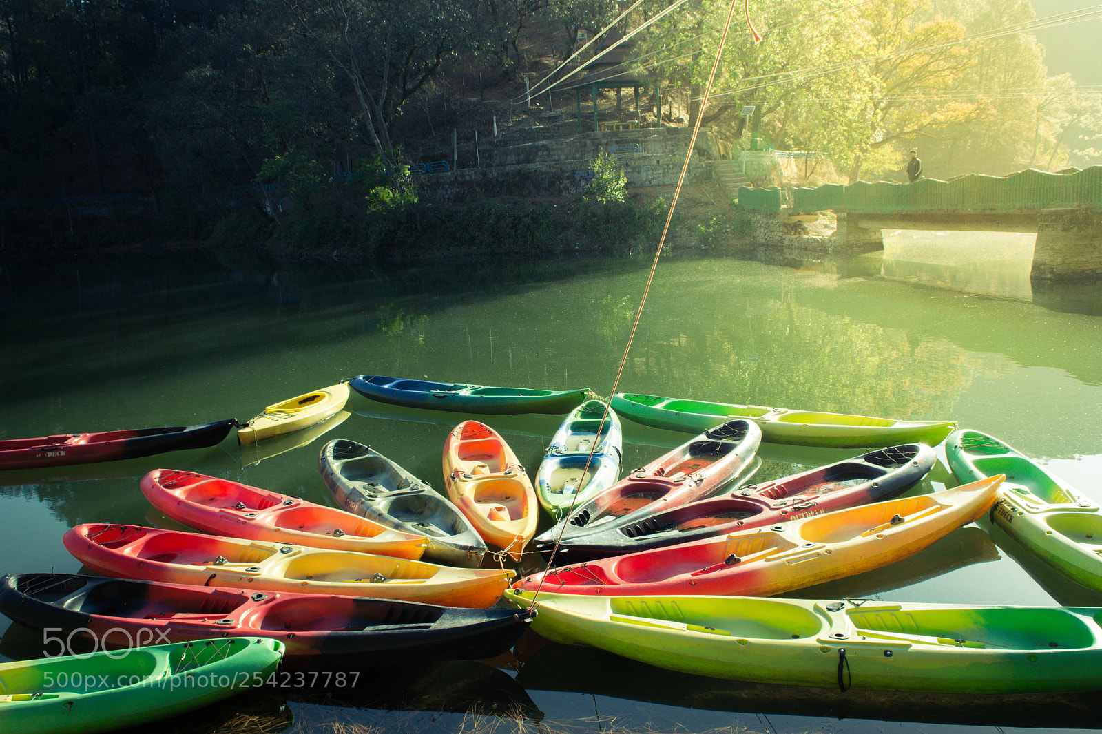 Nikon D5200 sample photo. Splash of colour photography