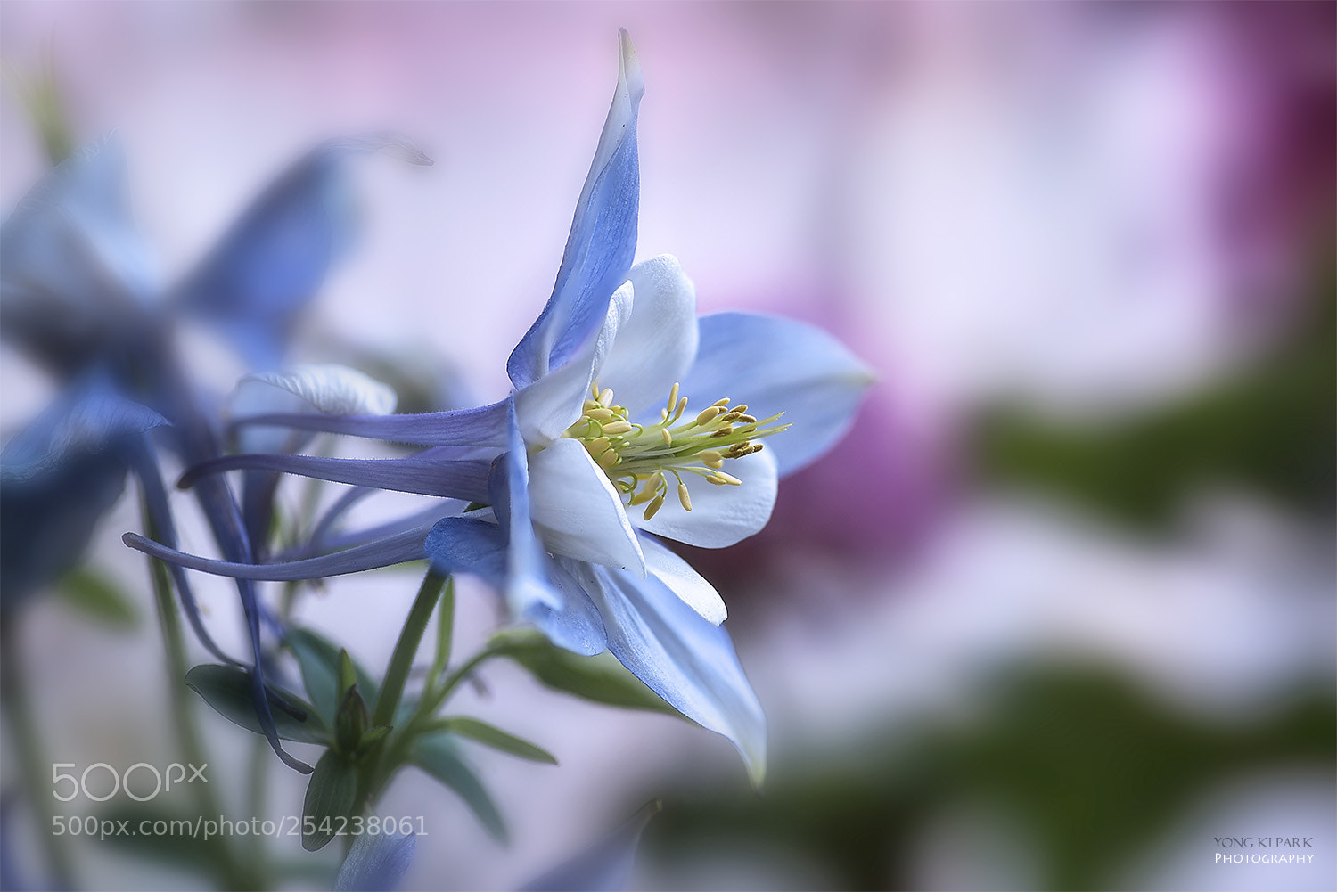 Pentax K-1 sample photo. Begin again-6 photography