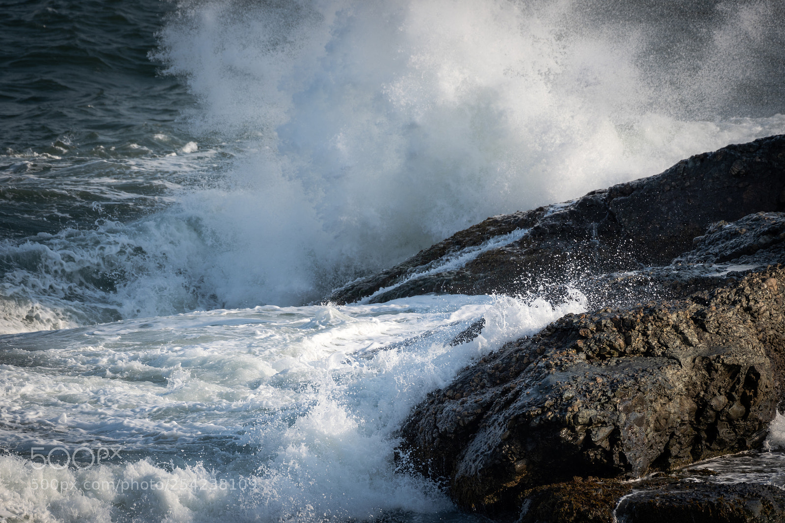 Nikon D500 sample photo. Power photography