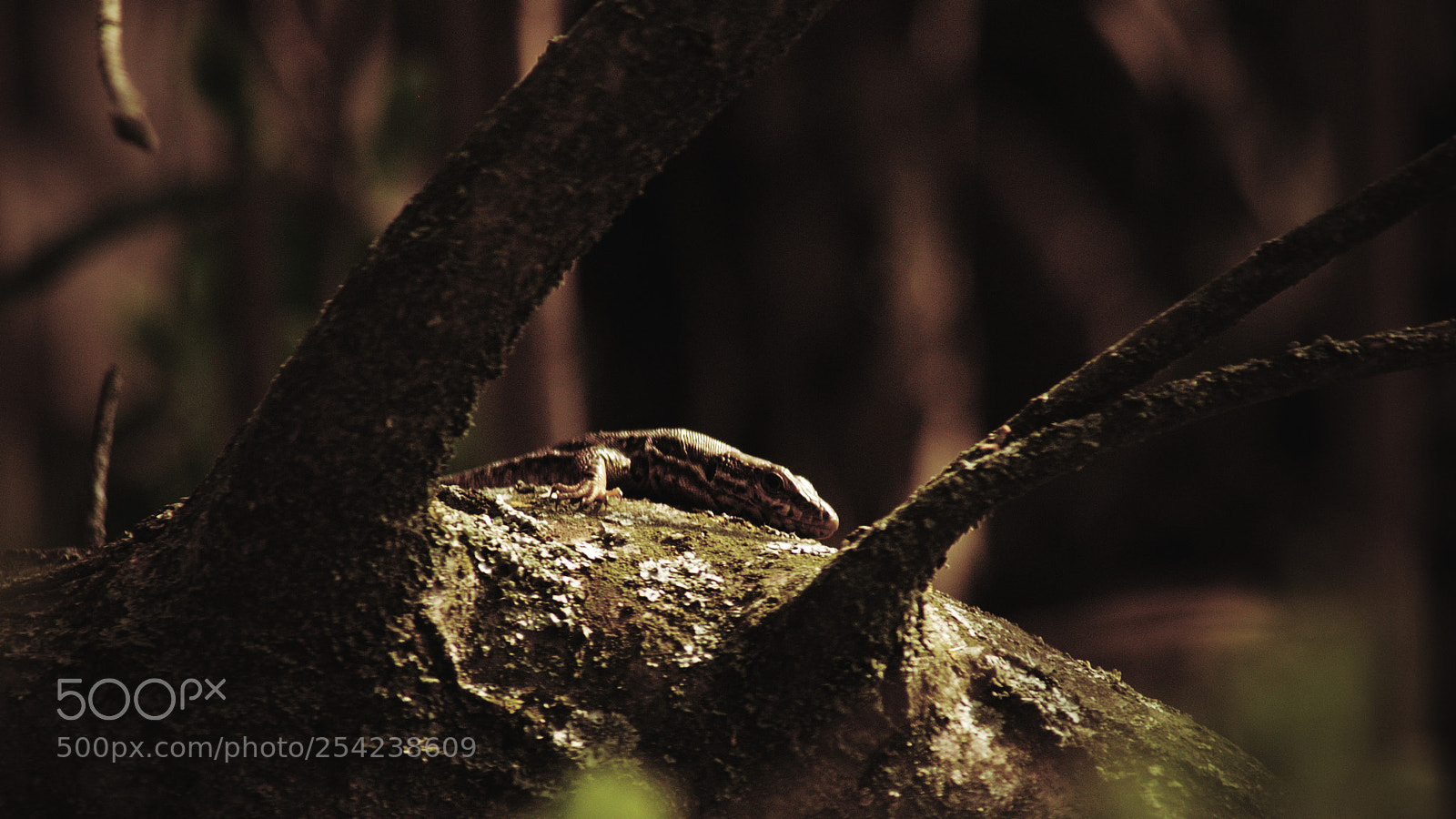 Pentax K-5 sample photo. My little world photography