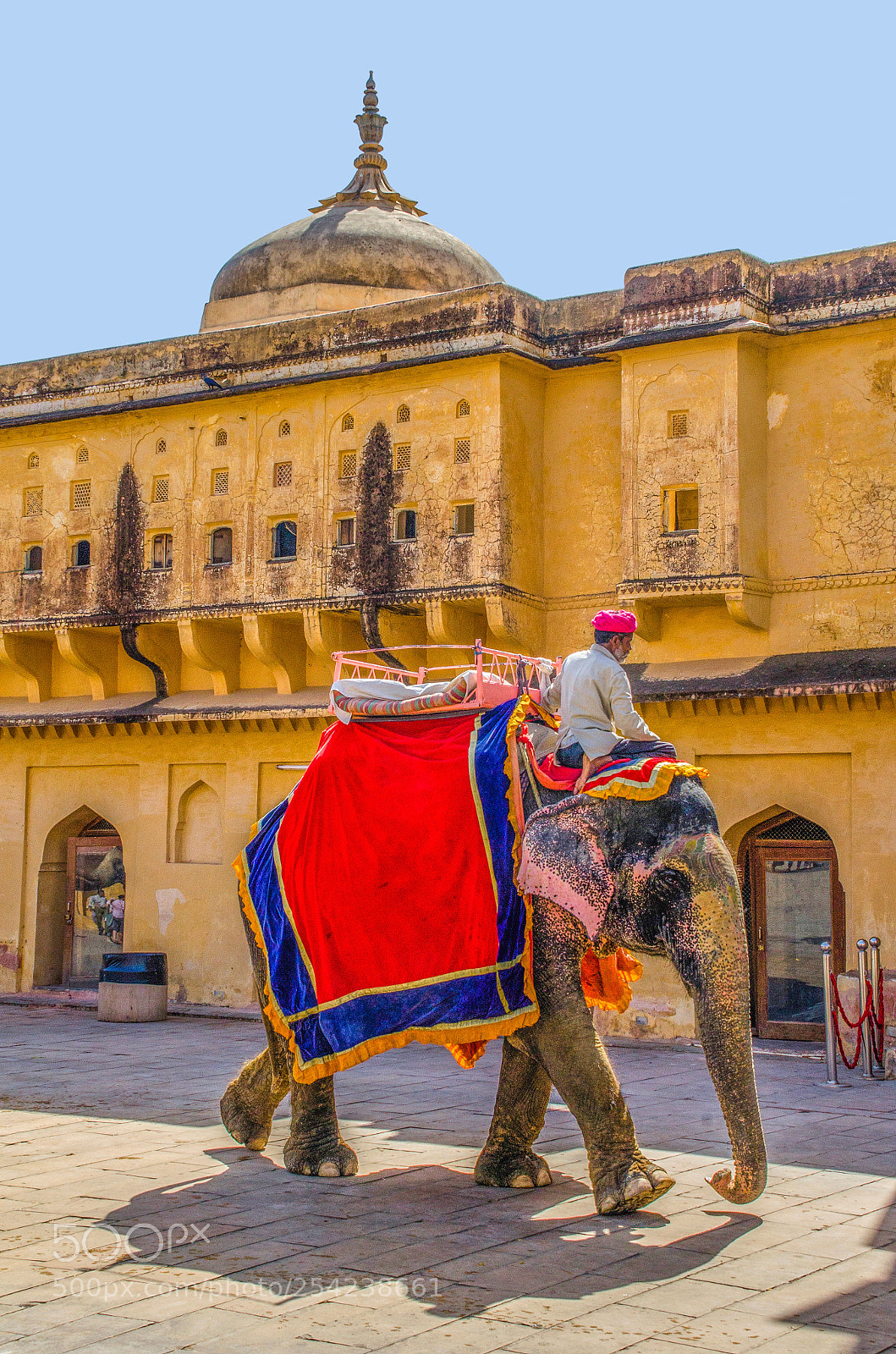 Nikon D7000 sample photo. Elephant rider photography