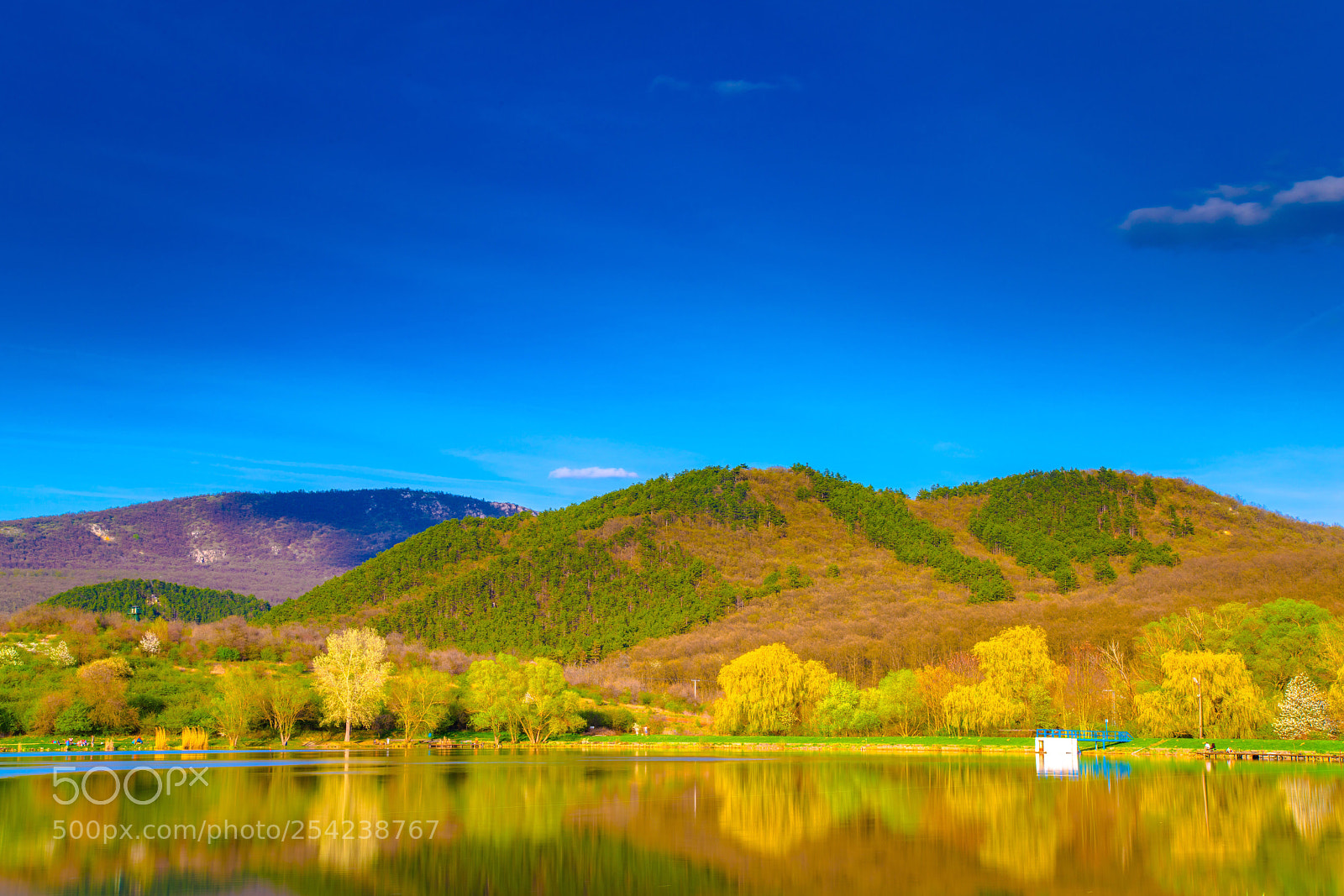 Sony a7R III sample photo. The colors of spring photography