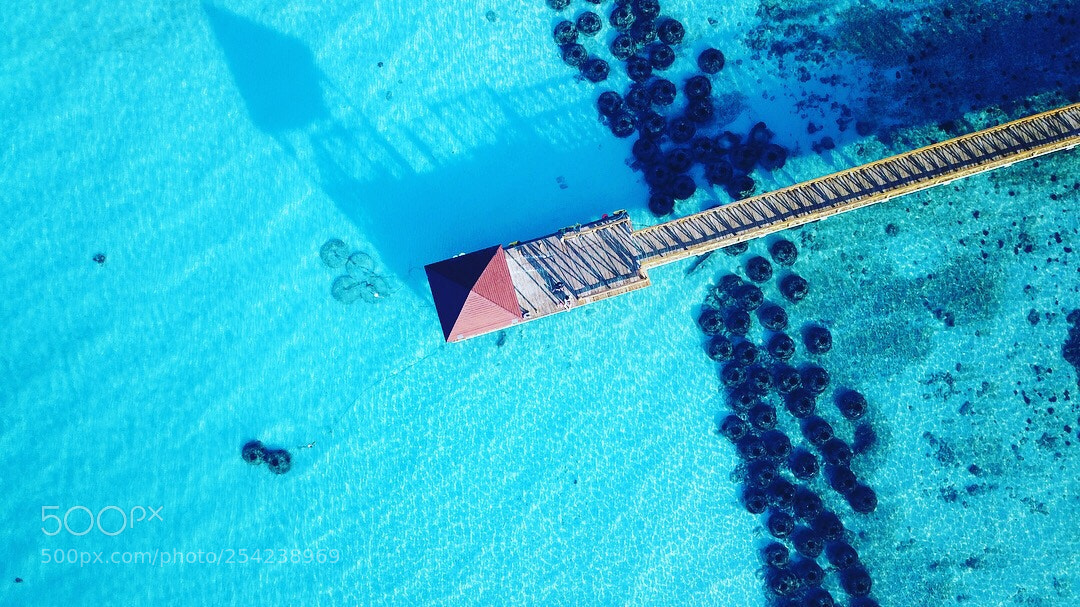 DJI FC220 sample photo. Untitled photography