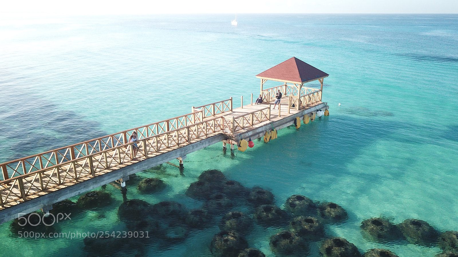 DJI FC220 sample photo. Untitled photography