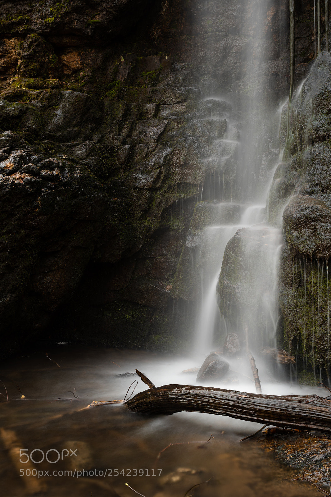 Nikon D500 sample photo. Steps in light photography