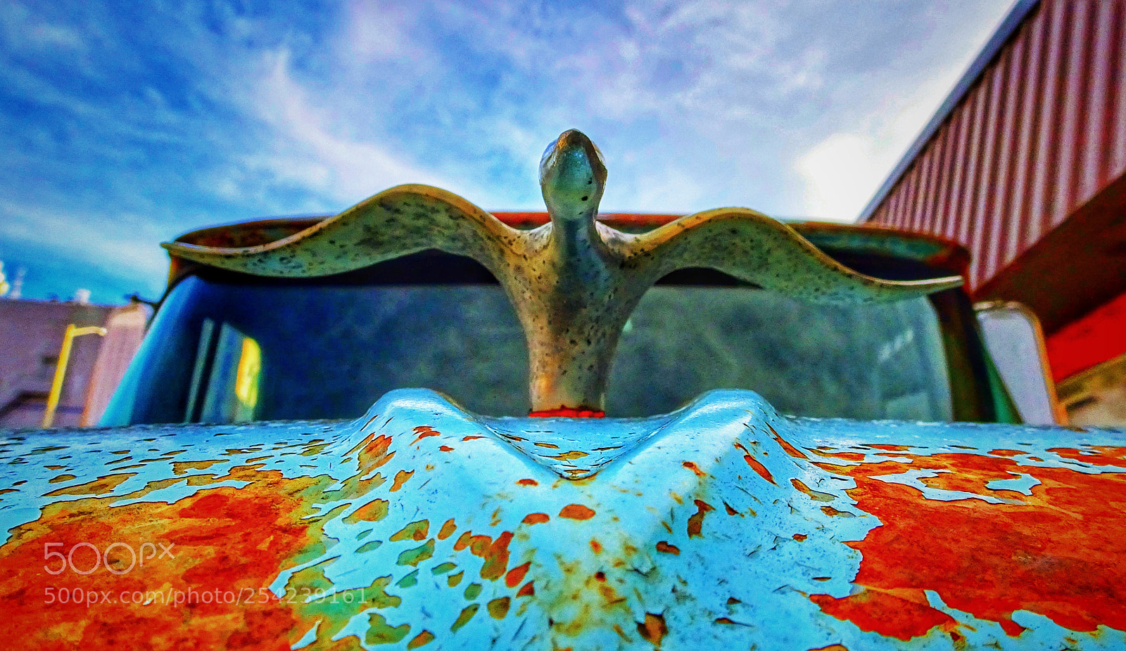 Sony Cyber-shot DSC-HX90V sample photo. Vintage bird photography