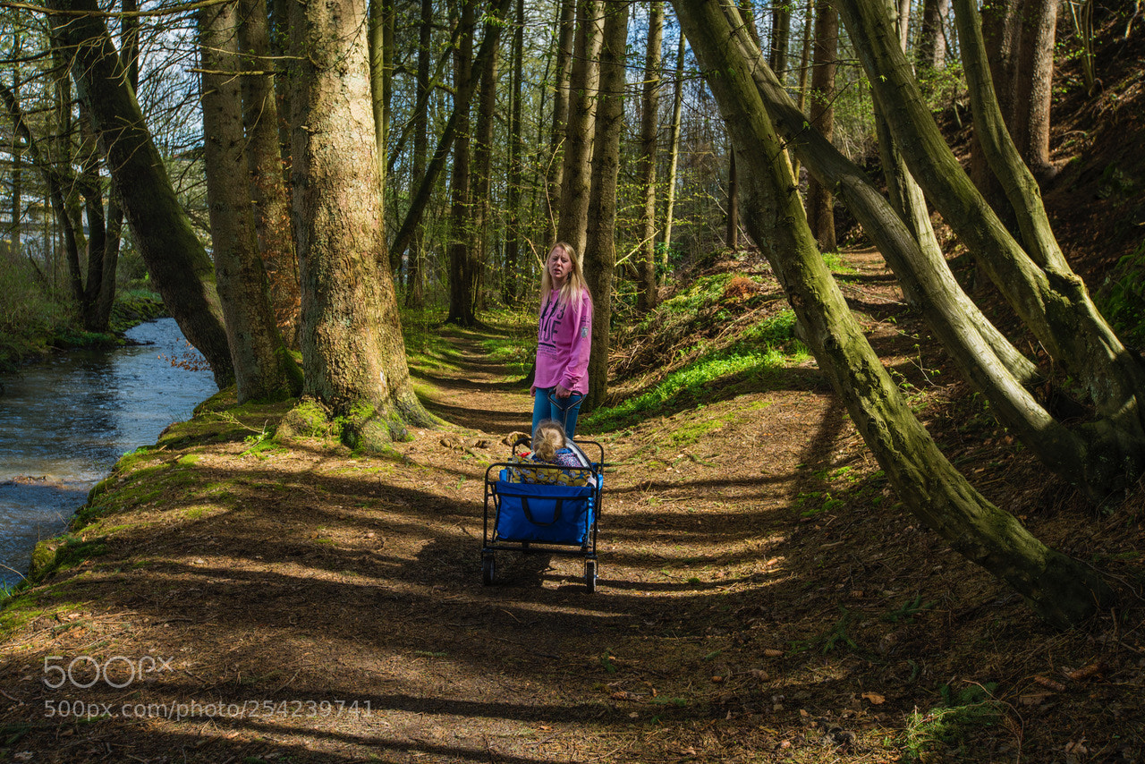 Sony a7R III sample photo. Untitled photography