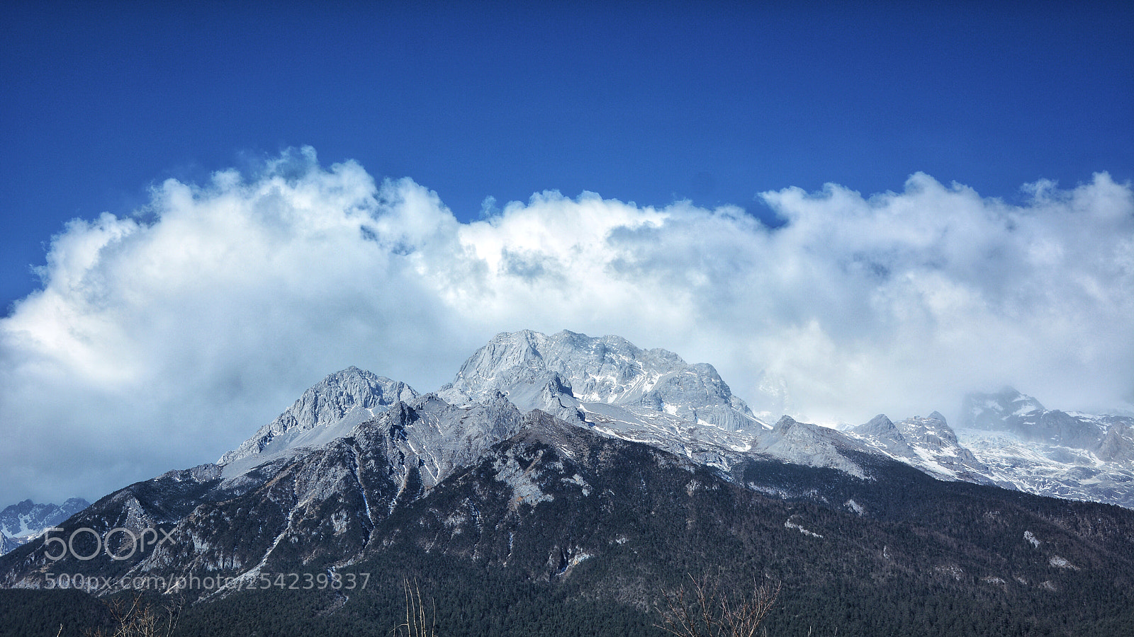 Nikon D7100 sample photo. Untitled photography