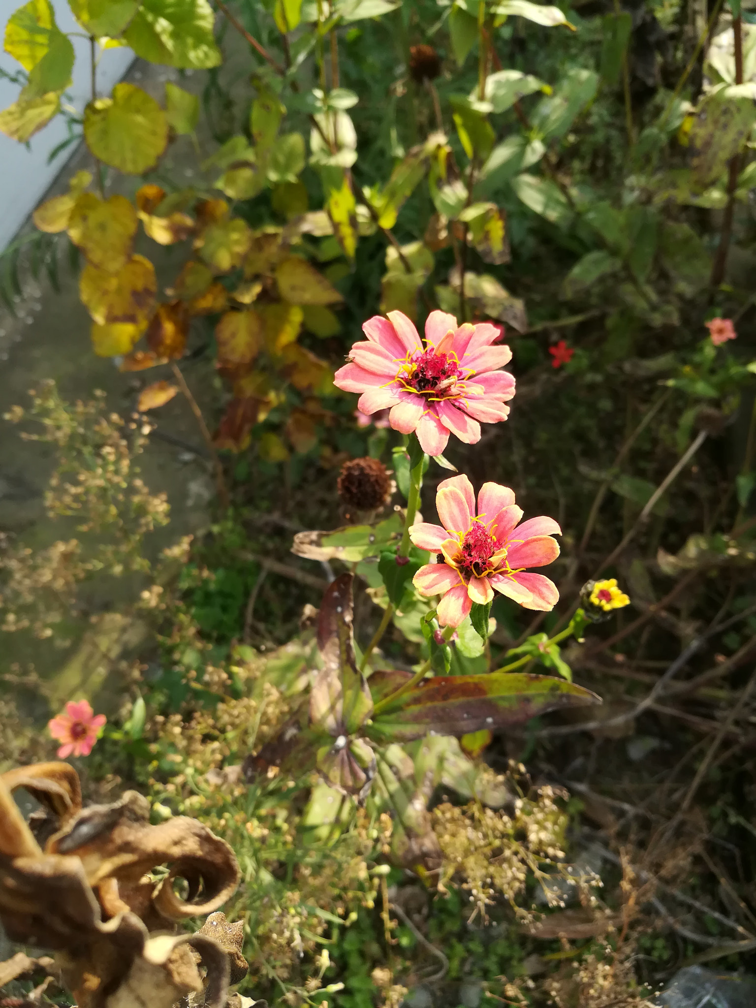HUAWEI c??Eu?s 6X sample photo